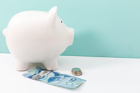 Saving Money In Piggy Bank Photo thumbnail