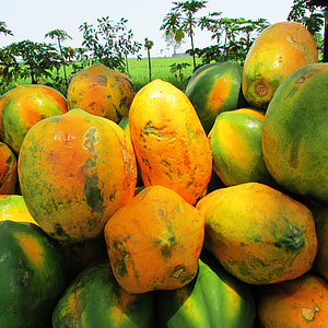 yellow and green papaya fruits during daytime thumbnail