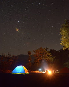 Photo of Blue and Yellow Lighted Dome Tent Surrounded by Plants during Night Time thumbnail