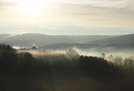 bird's eye view photography of mountain and trees thumbnail