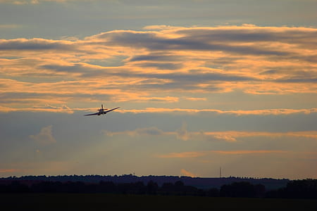aircraft flying above trees thumbnail