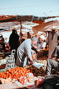 two men standing picking up vegetables thumbnail
