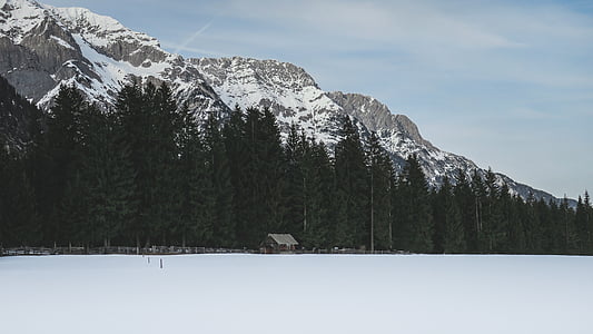 snow covered road near trees and mountain taken during daytime thumbnail