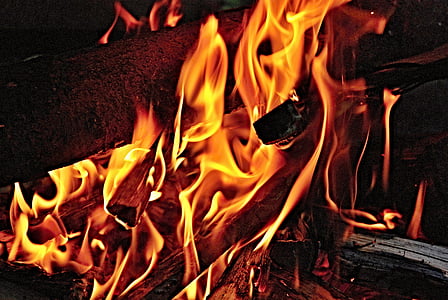 closeup photo of burning firewood thumbnail