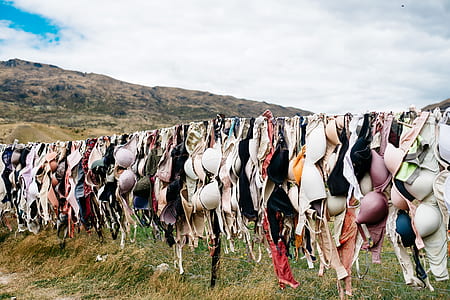assorted-color brassiere lot hanged on wire thumbnail