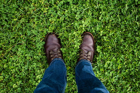 person standing on green plants thumbnail