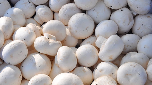 close-up photography of white mushroom thumbnail