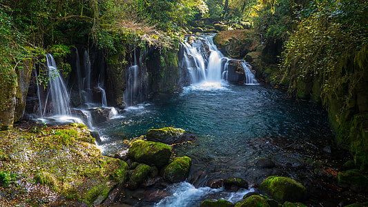 landscape photography of waterfalls surrounded by trees thumbnail