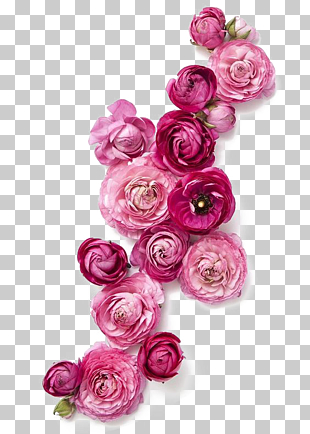 Flower Clothing Fashion Pink, Red Roses, red peony in bloom PNG clipart