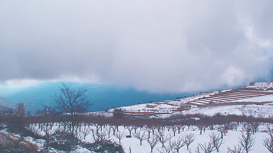 field covered in snow thumbnail