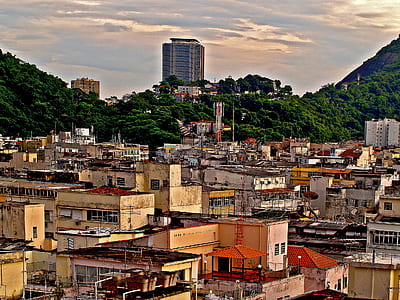 aerial photography of buildings near trees thumbnail
