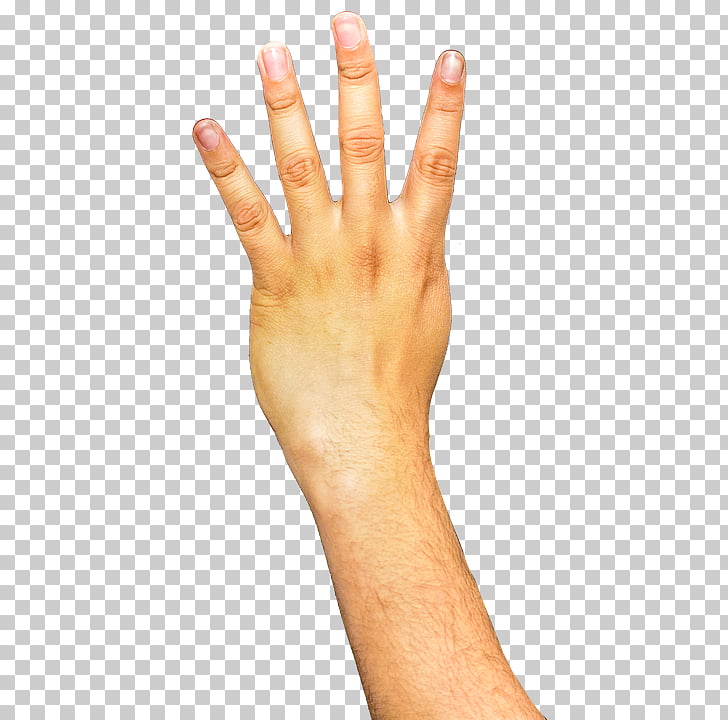 Hand , Arm Transparent Background, person showing four
