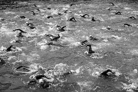 grayscale photo of swimmers thumbnail
