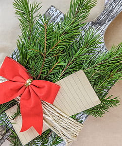 red bow tie on fir leaf thumbnail