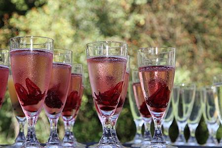 selective focus photography of champagne glasses with red liquid thumbnail