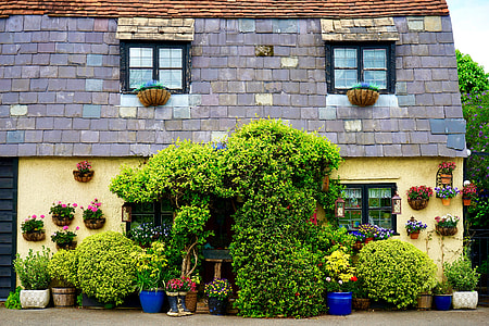 house beside green leafed plants thumbnail