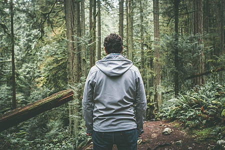 man in gray hoodie near forest during daytime thumbnail