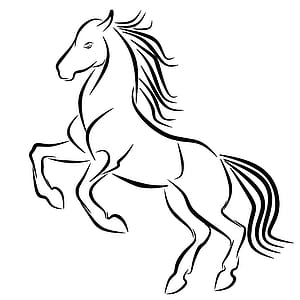 Line illustration of a horse rearing. thumbnail