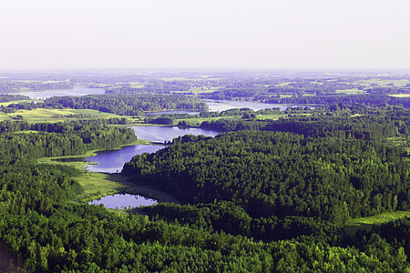 river surrounded with trees thumbnail