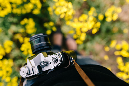 Woman with vintage camera in the field of blooming rapes thumbnail