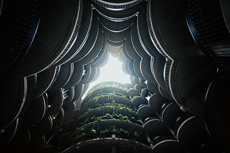 low angle photo of building thumbnail