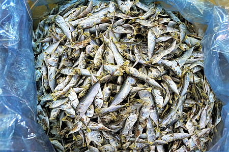 bunch of dried fish thumbnail