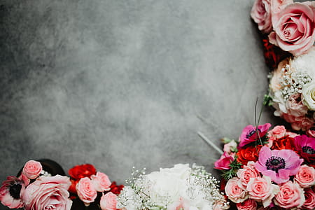 Composition of flowers thumbnail