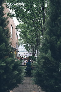 wood, city, restaurant, landscape thumbnail