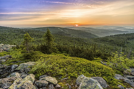 landscape photography of mountains and trees thumbnail