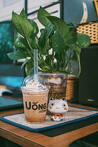 Uong Coffee Disposable Cup Near Cat Figurine on Table thumbnail