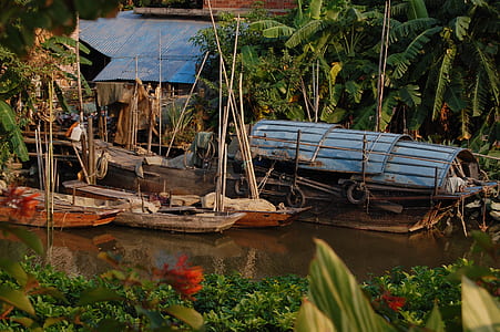 wooden boats docked near house surrounded with trees during daytime thumbnail