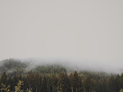 foggy mountain thumbnail