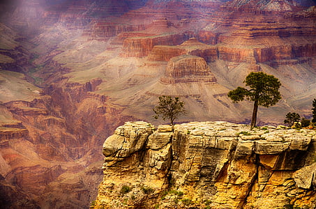 green trees at the mountain thumbnail