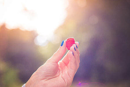Colorful Raspberry in a Girls Hand thumbnail