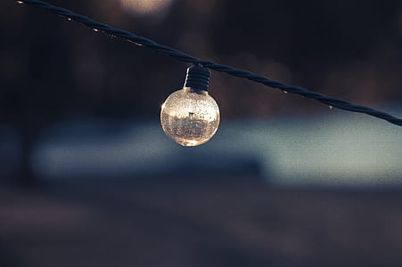 clear and black bulb in shallow focus thumbnail