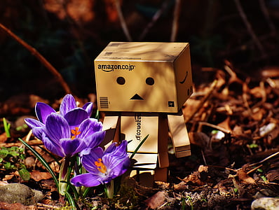 brown cardboard box thumbnail