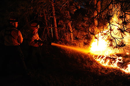 two firemen spraying fire on trees thumbnail