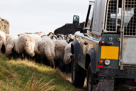 road, landscape, water, field thumbnail