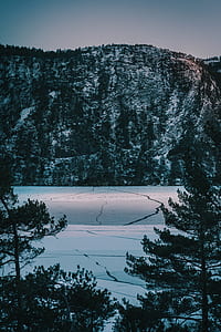 landscape photography of snowy mountain surrounded of trees thumbnail