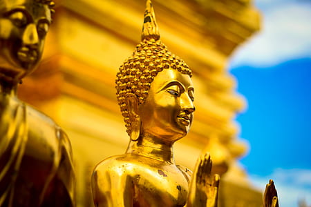shallow focus photography of Gautama statue thumbnail