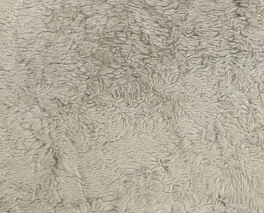 carpet, fiber, grain, textile, organization, weave thumbnail