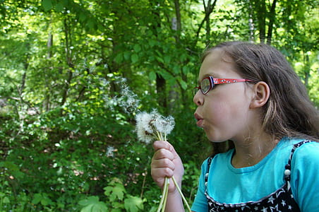 girl blowing dandelions thumbnail
