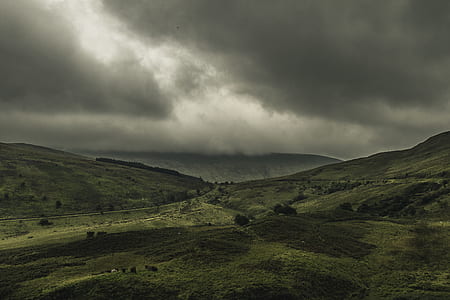 green grass field under cloudy sky thumbnail