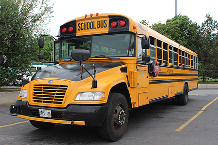 orange and black school bus parked near trees thumbnail
