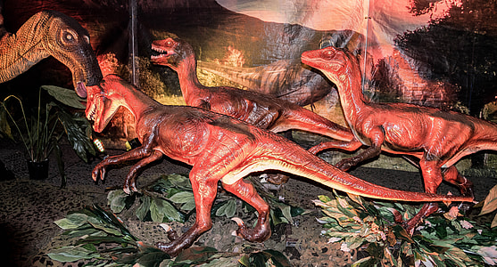 Raptor hunting Pack thumbnail
