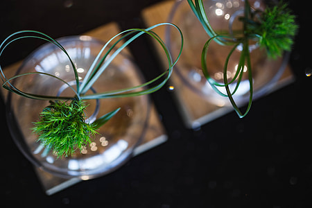 Little grass bundle with a ribbon in a glass jar thumbnail