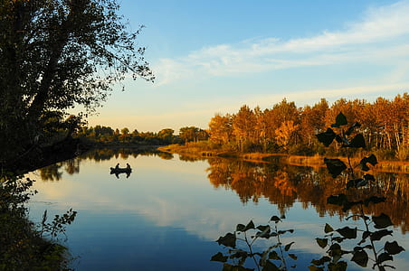 body of waters surrounded with trees thumbnail