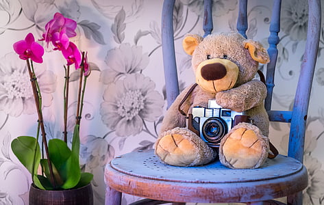 camera on brown bear beside flower thumbnail