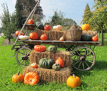 pumpkin lot on brown wooden carriage during daytime thumbnail