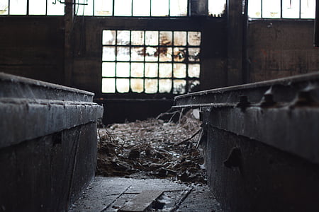 warehouse, windows, old, dust thumbnail
